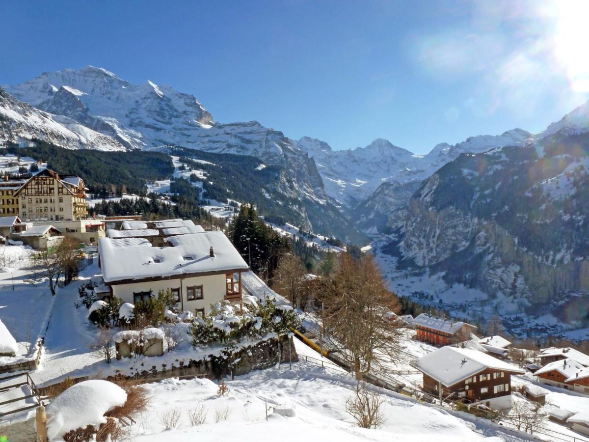 Apartment Panoramapark Soleil Haus D Apt 3 By Interhome Wengen Esterno foto