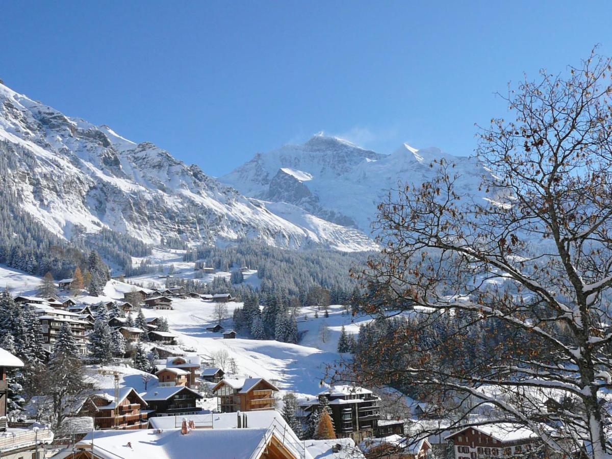 Apartment Panoramapark Soleil Haus D Apt 3 By Interhome Wengen Esterno foto