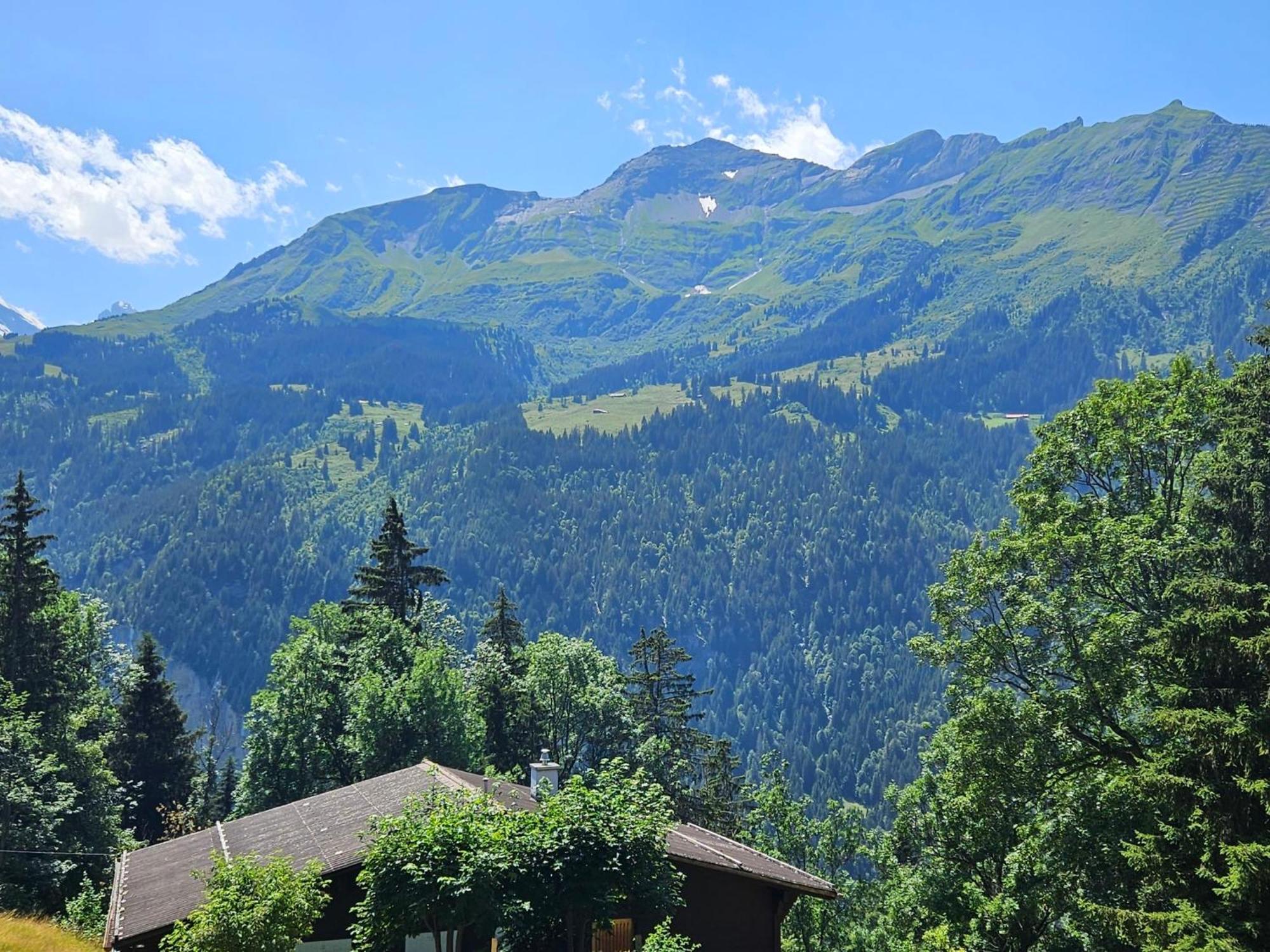 Apartment Panoramapark Soleil Haus D Apt 3 By Interhome Wengen Esterno foto