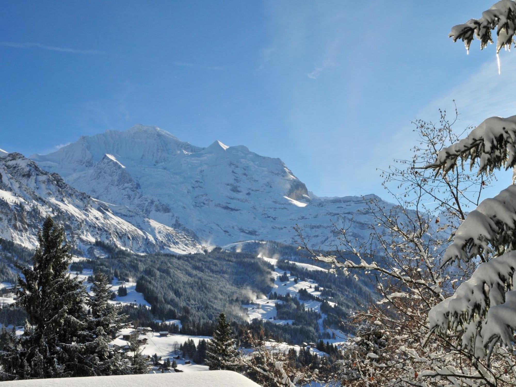 Apartment Panoramapark Soleil Haus D Apt 3 By Interhome Wengen Esterno foto